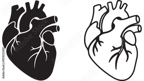 Human heart outline with transparent background
