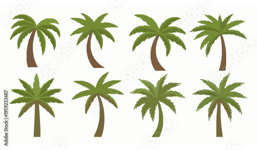 Cartoon style date palm vector collection with Canary Island palm illustration