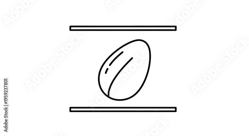 Abstract minimalist icon of a single almond nut between two parallel lines
