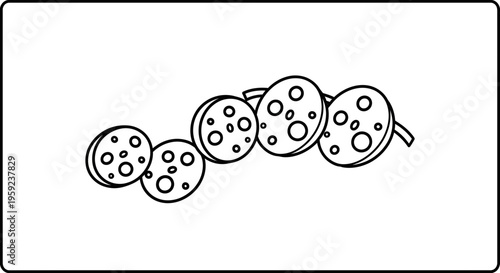 Abstract pattern of sliced pepperoni sausage, food ingredient, top view