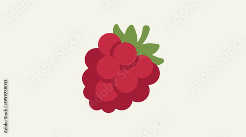 A vibrant, stylized illustration of a single red raspberry with a green stem, presented on a clean, light background.