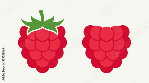 Two stylized red raspberries, one with a green stem and leaves, the other without, on a light background.