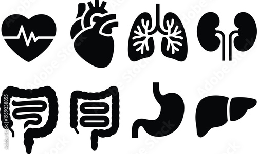 Human internal organs illustration set, simple black and white silhouette of heart lungs kidneys and digestive system for medical health and anatomy education concepts.