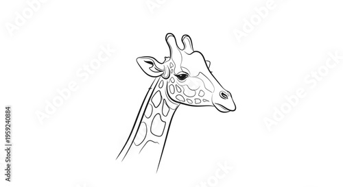 Line Art Sketch of a Giraffe Head and Neck, Elegant African Wildlife Portrait