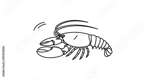 Lobster Line Art Illustration - Seafood Delicacy