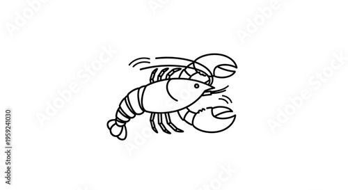 Lobster illustration, simple line art, isolated on white background, seafood concept