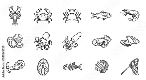 Diverse Marine Aquatic Creatures Collection in Natural Habitat