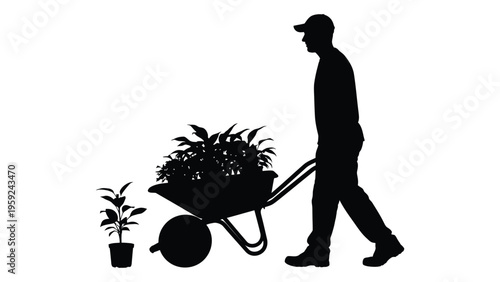 Silhouette of a man pushing a wheelbarrow with plants