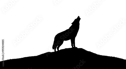 Wolf howling on a hill.