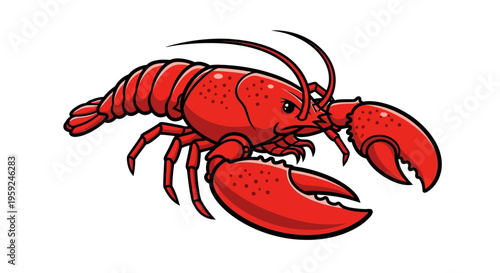 Red Lobster Crustacean Side View.