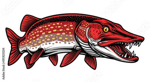 Aggressive Northern Pike Fish Illustration - Predator Fishing Icon