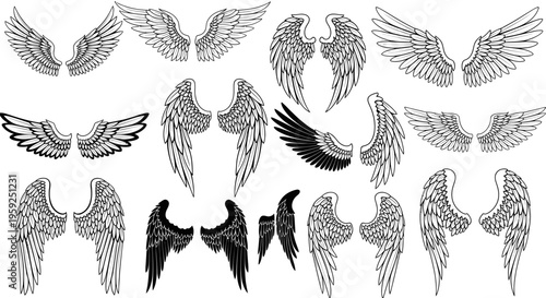 Collection of Angel Wings Illustrations - Various Styles and Sizes