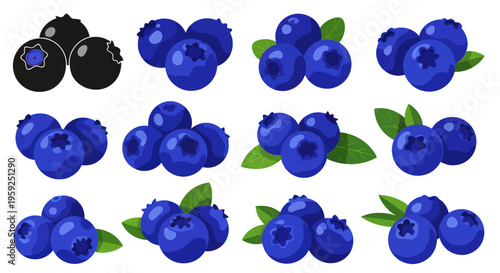 Fresh Blueberries Collection: Healthy Berries Isolated on White Background, Top View