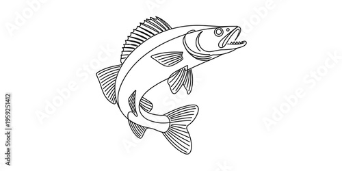 Black and white line art illustration of a walleye fish jumping out of the water.