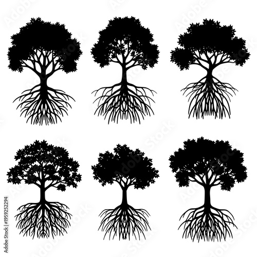 Mangrove roots silhouette vector illustration set black white EPS10 isolated on white