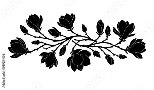 Decorative magnolia branch silhouettes with blooming flowers and buds floral vector illustration isolated on white