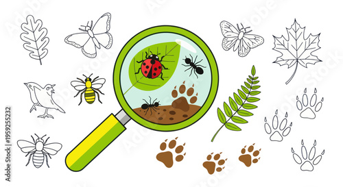 Magnifying Glass Reveals Ladybug, Ants, and Nature Elements