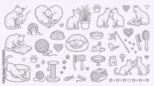 A charming collection of hand-drawn illustrations depicting various aspects of feline life, including cats playing, sleeping, and interacting with their environment and toys.