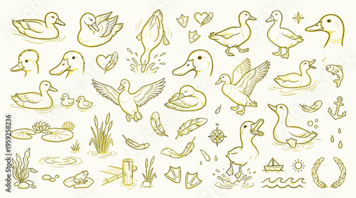 A charming collection of hand-drawn duck illustrations, featuring various poses, ducklings, water elements, and natural details.