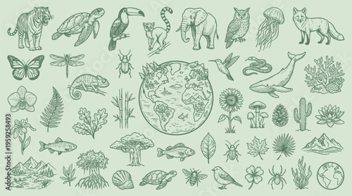 A diverse collection of hand-drawn illustrations depicting various elements of nature, including animals, plants, and the Earth.