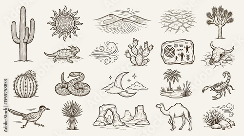A collection of hand-drawn illustrations depicting various elements of a desert environment, including flora, fauna, and geological features.