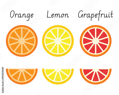 Citrus fruit slice vector set. Orange, lemon, and grapefruit icons for juice bar signage, nutritional infographics, and summer-themed design projects