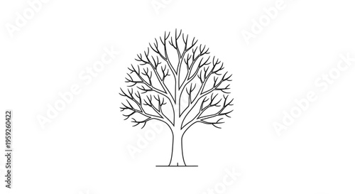 Minimalist bare tree silhouette, line art, graphic design, vector illustration, isolated on white background