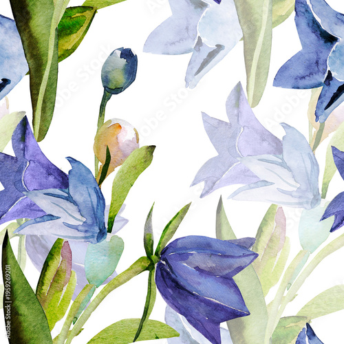 Spring wildflowers. Image on white and colored background. Seamless pattern.