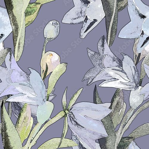 Spring wildflowers. Image on white and colored background. Seamless pattern.