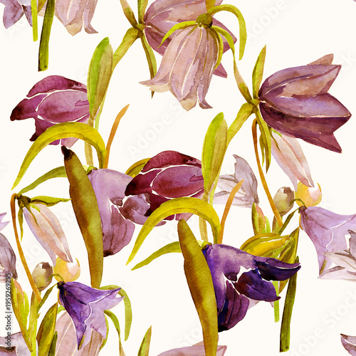 Spring wildflowers. Image on white and colored background. Seamless pattern.