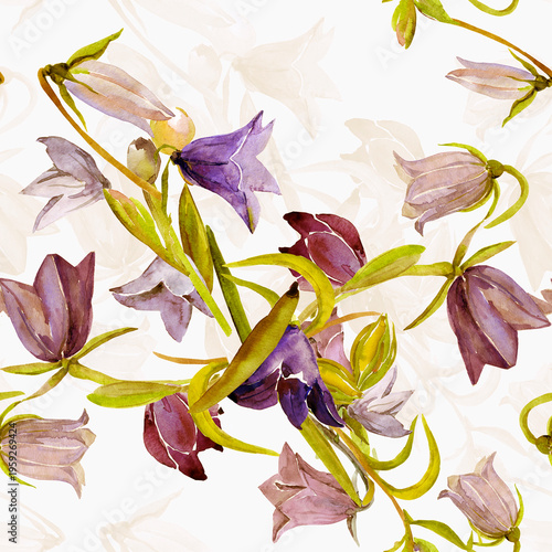 Spring wildflowers. Image on white and colored background. Seamless pattern.