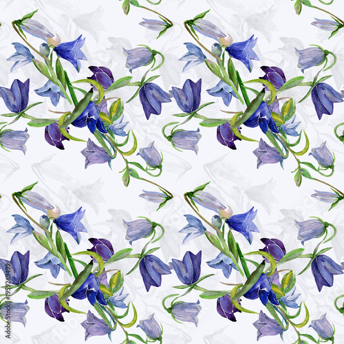 Spring wildflowers. Image on white and colored background. Seamless pattern.