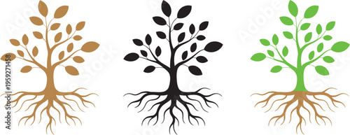 Leaf tree with roots vector, plant with leaves abstract nature logo, ecology environment concept, spring garden sign, green tree branch brown roots silhouette illustration