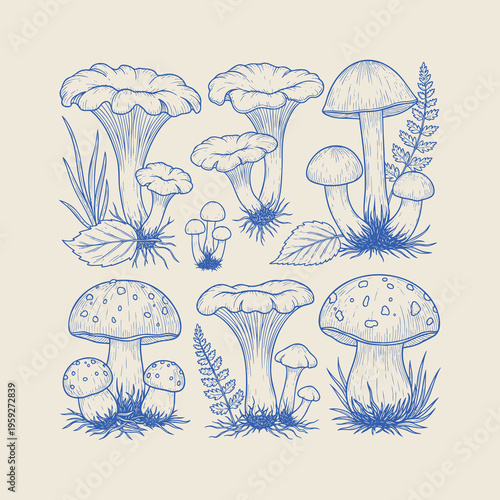 Mushroom illustrations, blue line art fungi, vector mushroom set, botanical clip art