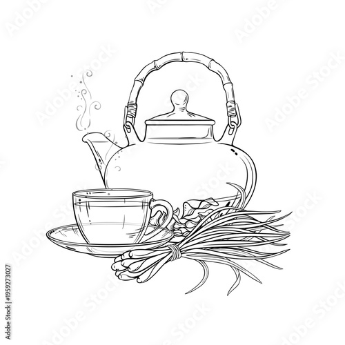 Lemongrass Tea in Teapot aroma beverage Outline Illustration. Vector isolated for Design and Decoration for Cafeteria, Posters, Banners, Cards.