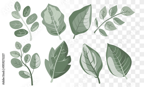 Modern Botanical Leaf Vector Set Minimalist Sage Green Foliage Icons for Eco-Friendly Branding, Organic Skincare Packaging and Wellness Web Design