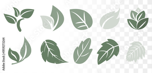 Dusty Sage Green Leaf Vector Set Minimalist Botanical Icons for Eco-Friendly Branding, Luxury Skincare Packaging and Wellness Identity. Clean Paths.