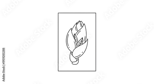 Black and White Line Art Drawing of a Magnolia Flower Bud