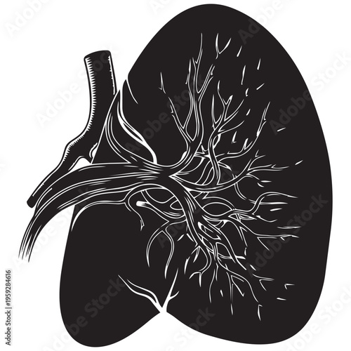 Human lung silhouette illustration with bronchial tree for medical diagram isolated on transparent background