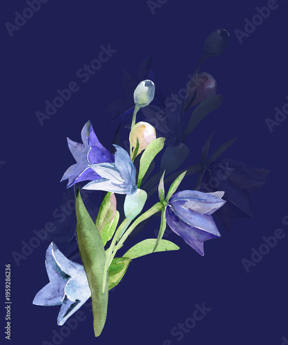 Spring wildflowers. Image on white and colored background. Pattern.