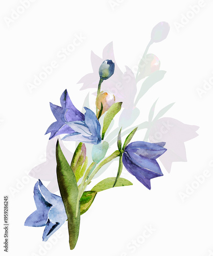 Spring wildflowers. Image on white and colored background. Pattern.