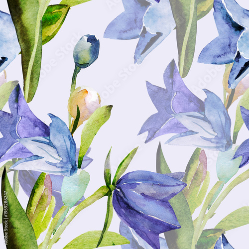 Spring wildflowers. Image on white and colored background. Seamless pattern.