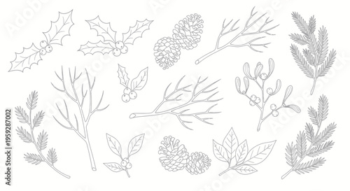 Winter Botanical Elements Collection: Holly, Pine Cones, Branches, Mistletoe, Fir Tree Sprigs
