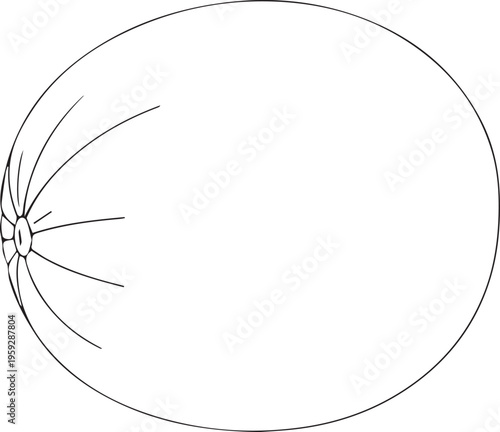 Solar eclipse, sun rays, black line art, astronomy icon, educational vector graphic