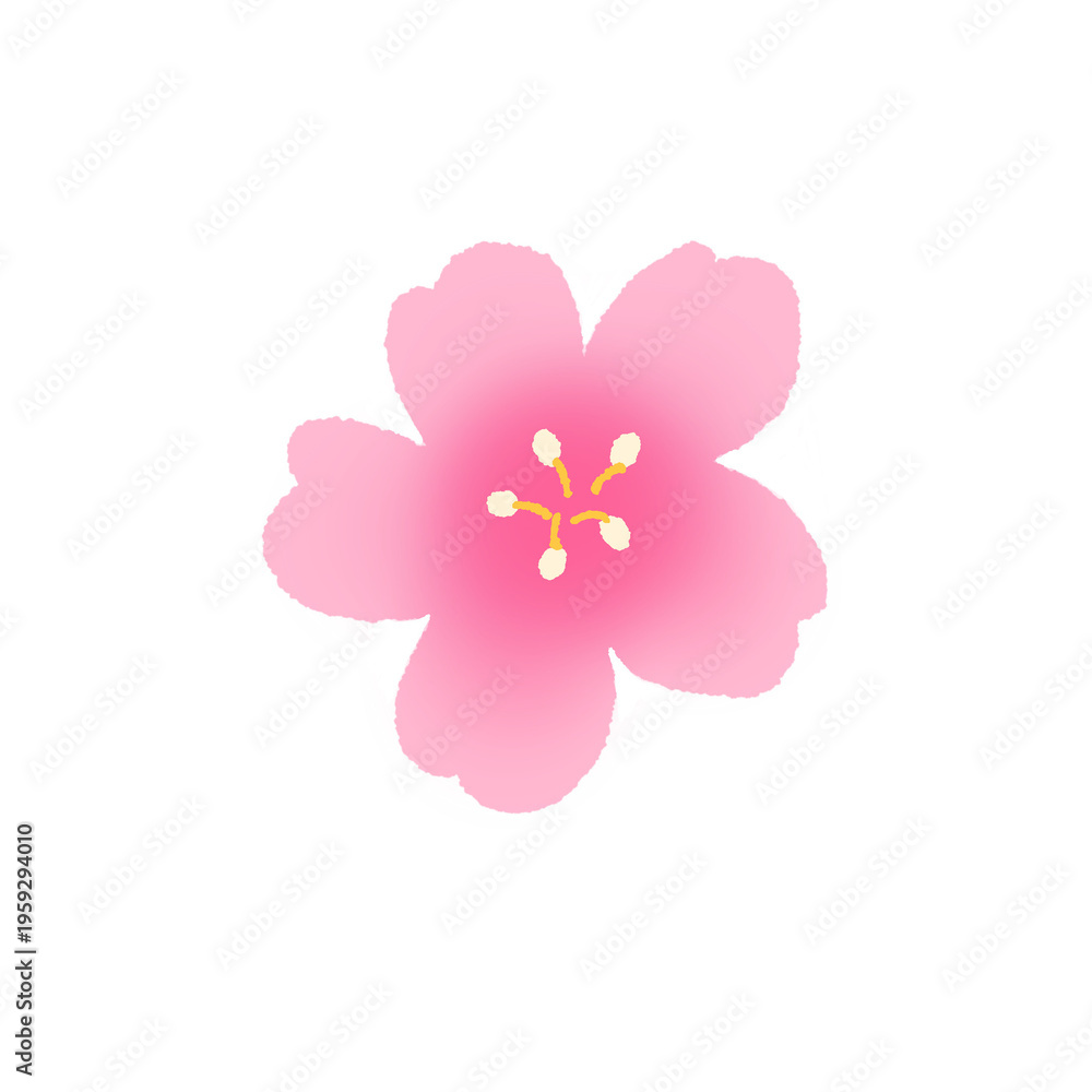 Fototapeta premium Cherry blossom icon