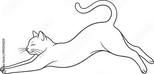 Graceful black and white line art of a domestic cat stretching its body on a white background,