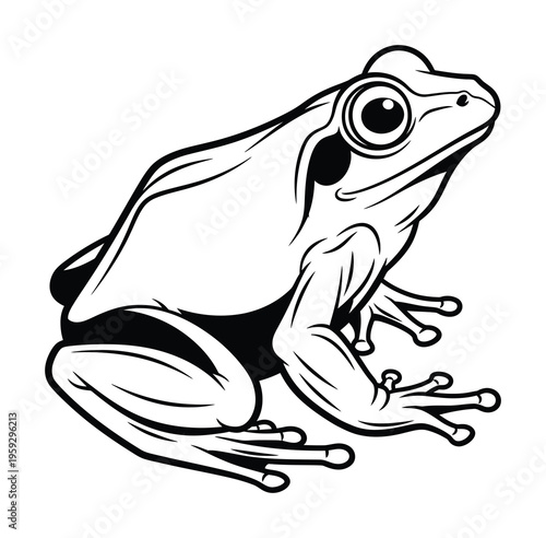 Vector of a sitting frog with large eyes and splayed feet