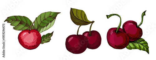 Vibrant Colorful Cherries Illustration. Ripe Red Sweet Cherry Fruit with Green Leaves. Creative Artistic Food Design for Summer Branding and Healthy Lifestyle