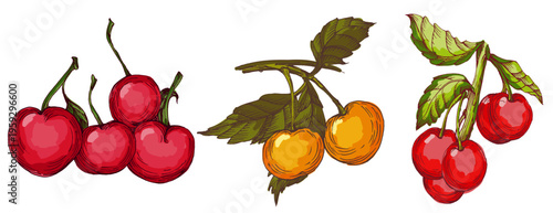 Vibrant Colorful Cherries Illustration. Ripe Red Sweet Cherry Fruit with Green Leaves. Creative Artistic Food Design for Summer Branding and Healthy Lifestyle