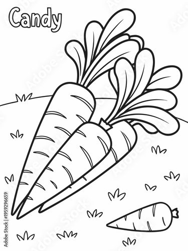 hand drawn vector illustration of carrots